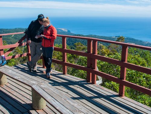 parque-nacional-oncol-valdivia